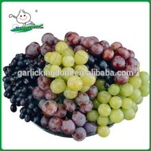 Grapes China/red grapes/Best fresh red grapes